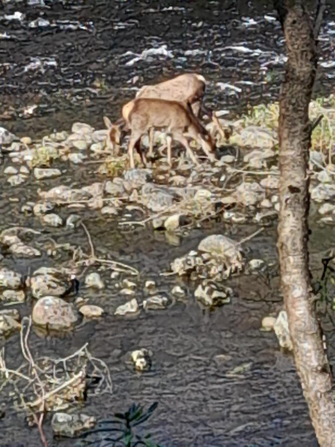 Riverside Pod, West Highland Way Holidays Kinlochleven Luaran gambar